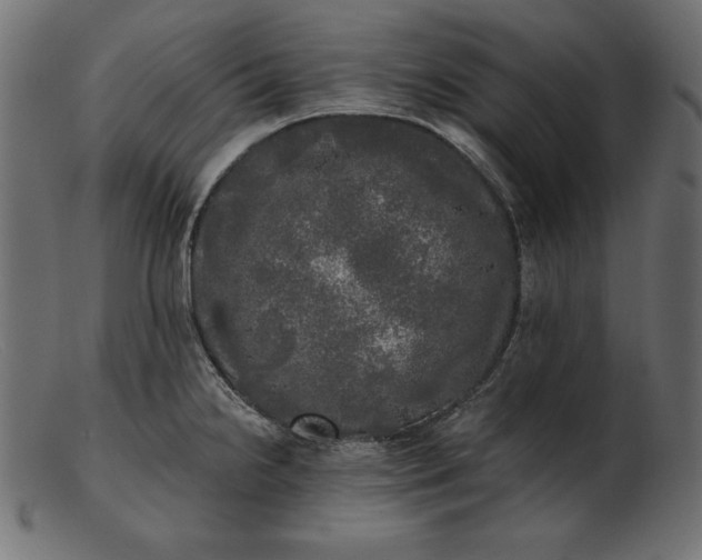 X0000103221238200809111501