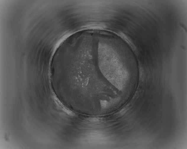 X0000103221240200809111501