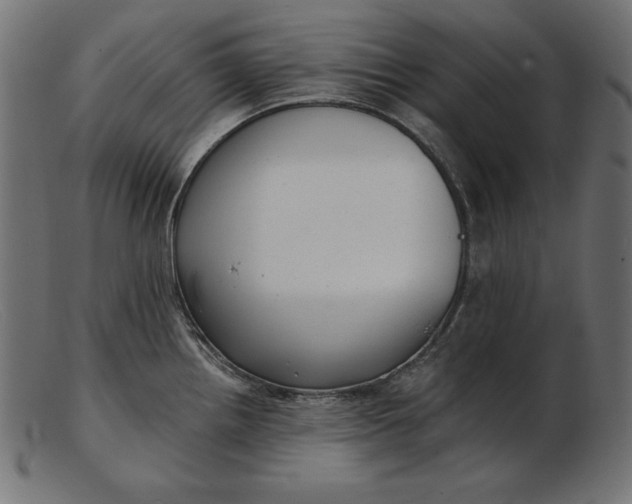 X0000103221242200809111501