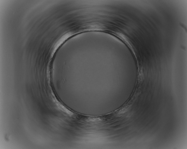 X0000103221243200809111501