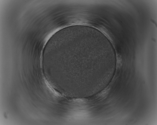 X0000103221246200809111501