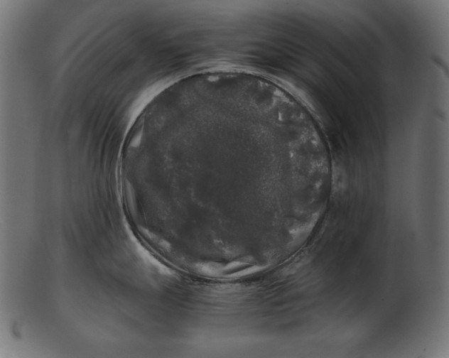 X0000103221247200809111501