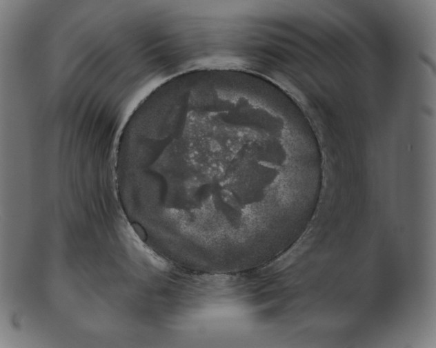 X0000103221248200809111501