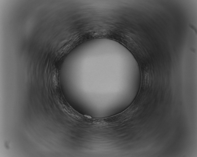 X0000103221250200809111500