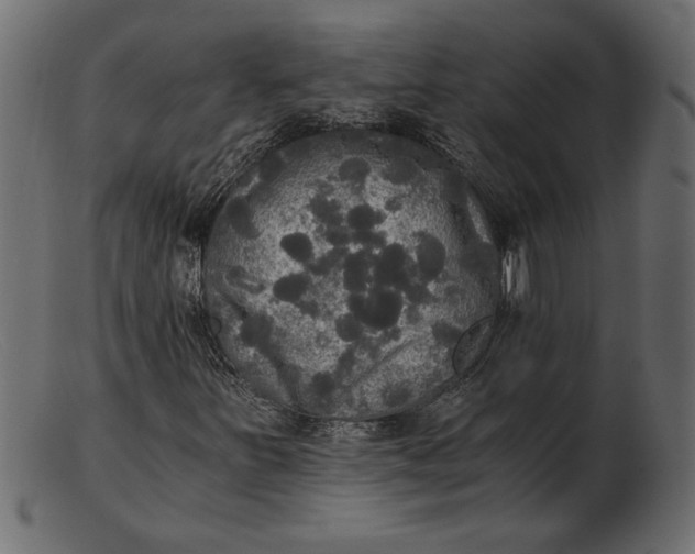 X0000103221251200809111500