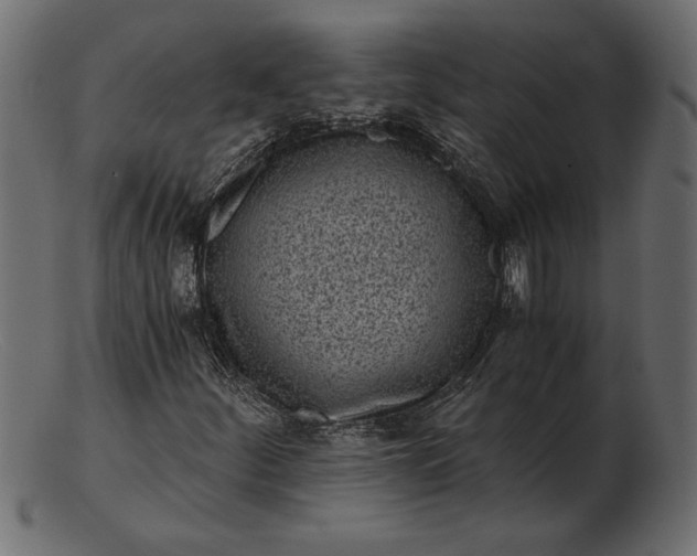 X0000103221252200809111500