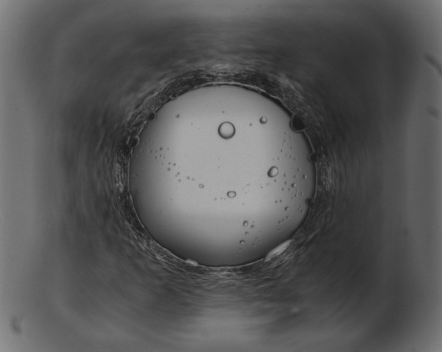 X0000103221253200809111500