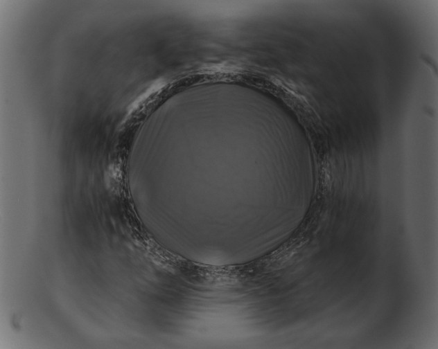 X0000103221254200809111500