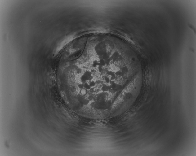 X0000103221255200809111500