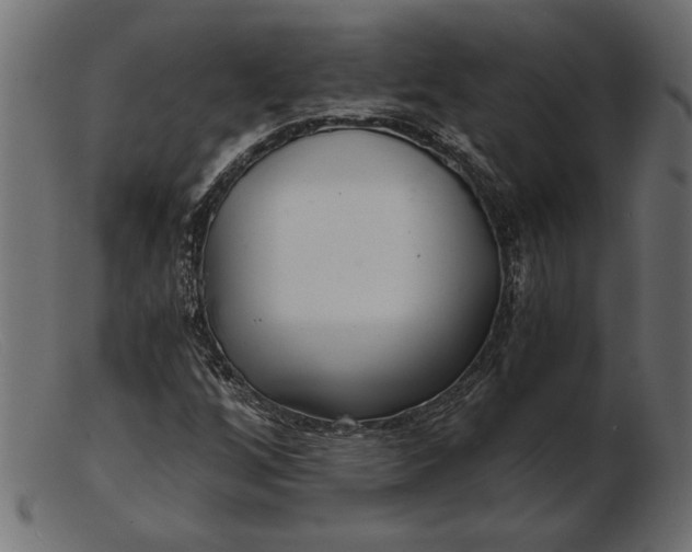 X0000103221256200809111500