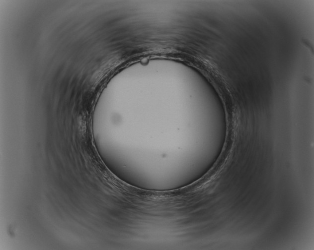 X0000103221257200809111500