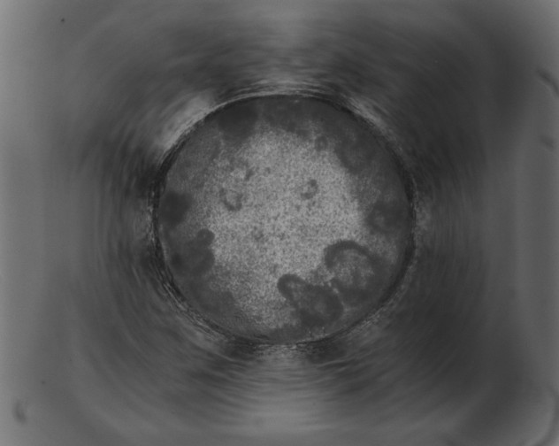 X0000103221259200809111500