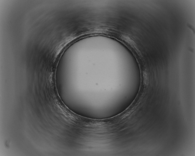 X0000103221260200809111500