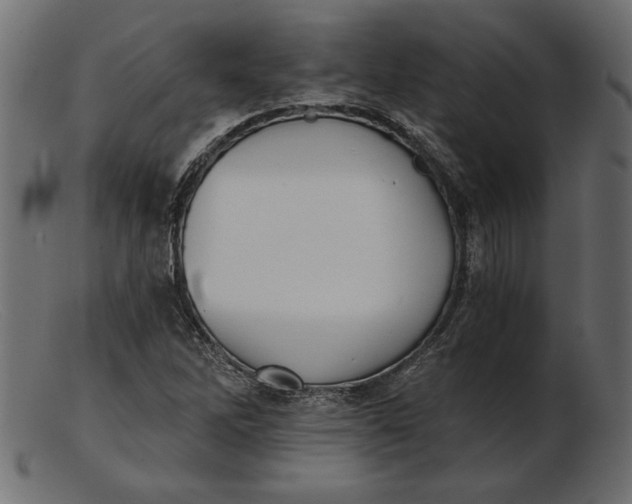 X0000103221262200809111500