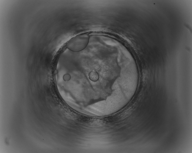 X0000103221263200809111500