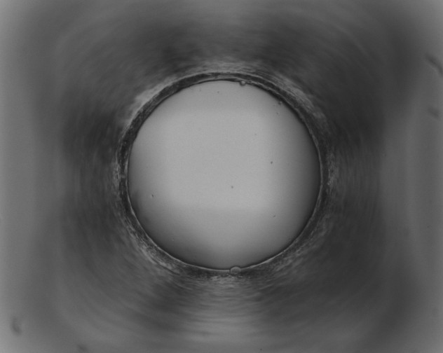 X0000103221264200809111500