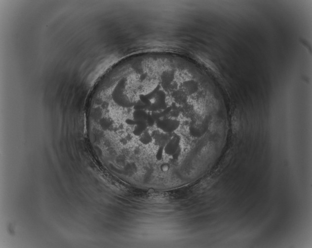 X0000103221267200809111500