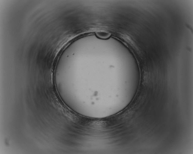 X0000103221268200809111500