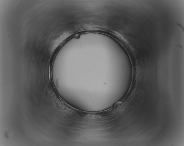 X0000103221269200809111500