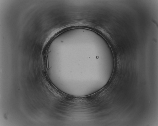 X0000103221270200809111500