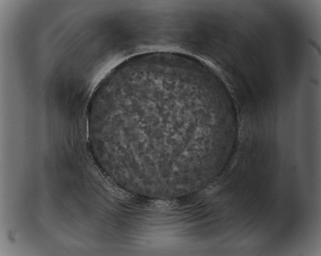 X0000103221271200809111500