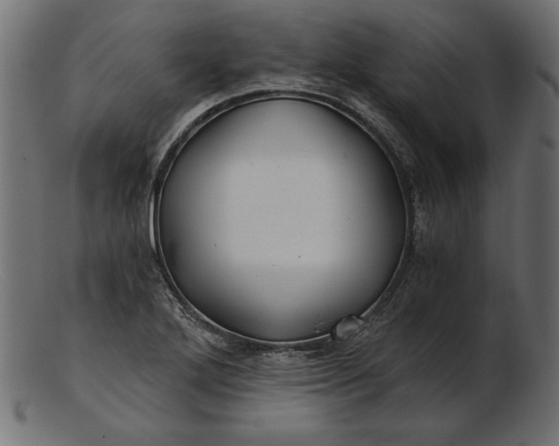 X0000103221272200809111500