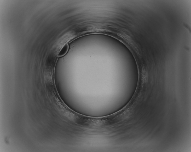 X0000103221273200809111500