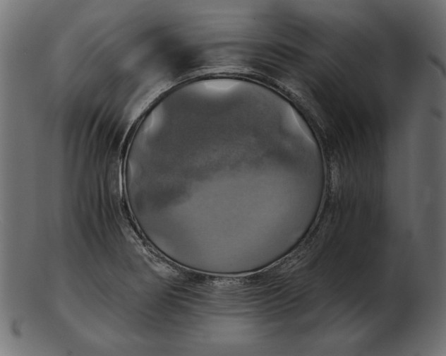 X0000103221274200809111500