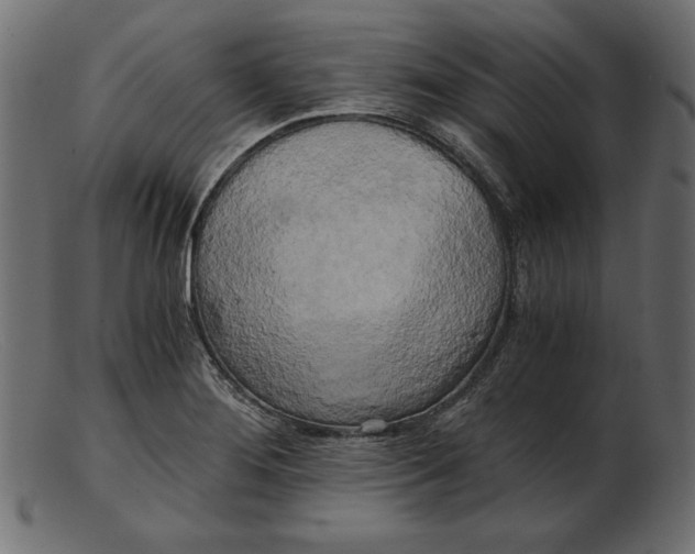 X0000103221276200809111500