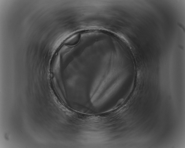 X0000103221279200809111500