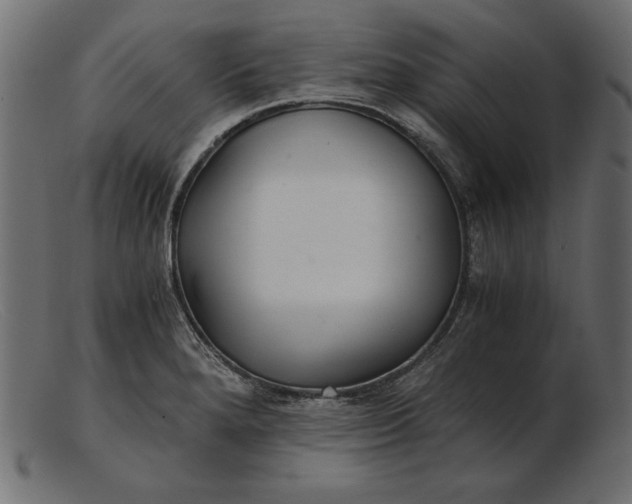 X0000103221280200809111500