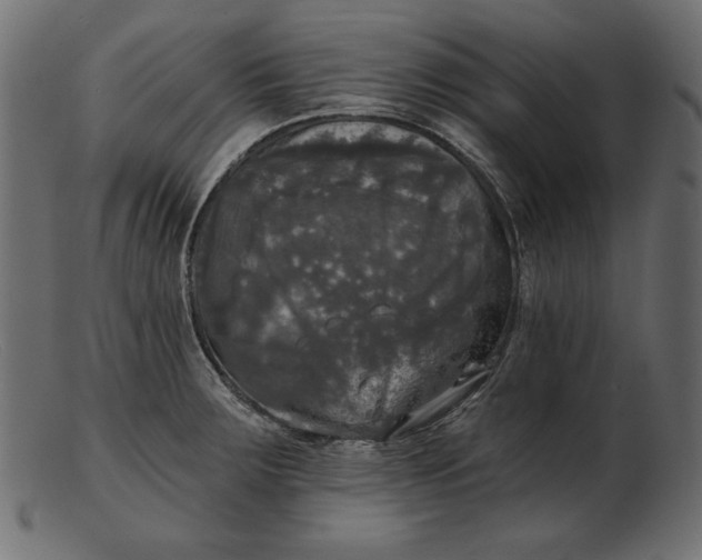 X0000103221283200809111500