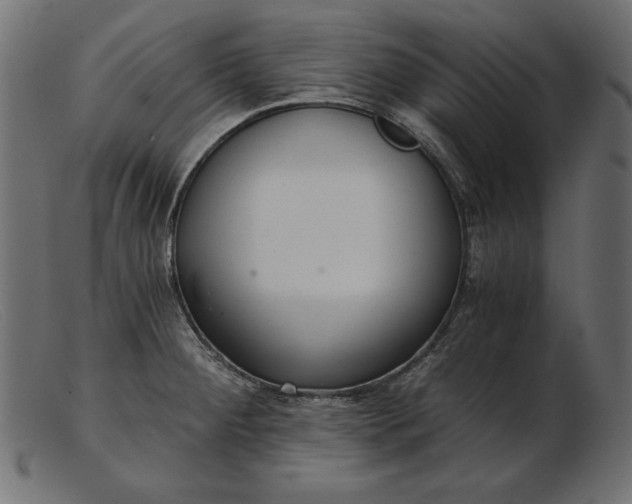 X0000103221284200809111500