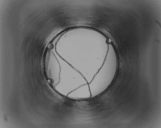 X0000103221285200809111500