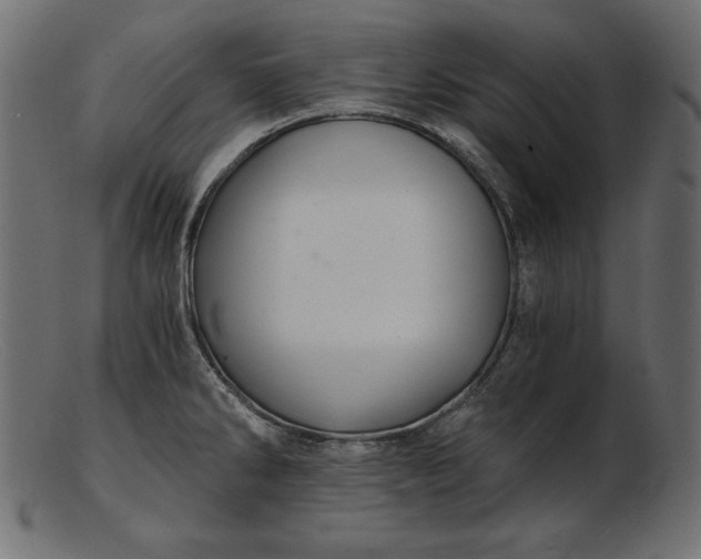 X0000103221286200809111500