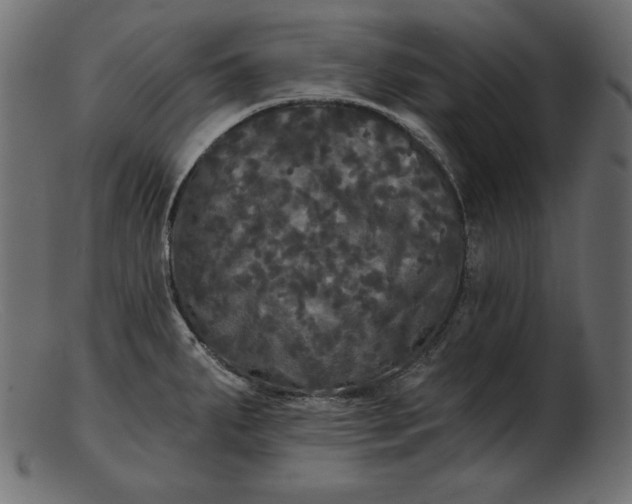 X0000103221287200809111500