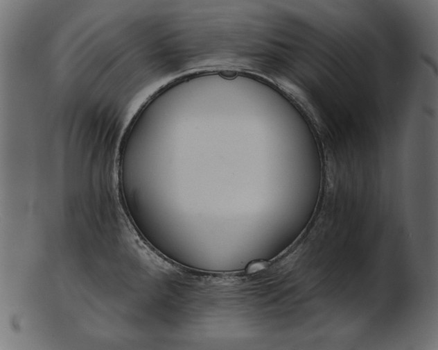 X0000103221288200809111500