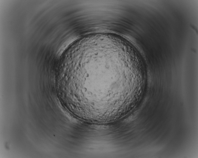 X0000103221289200809111500