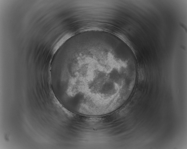 X0000103221290200809111500