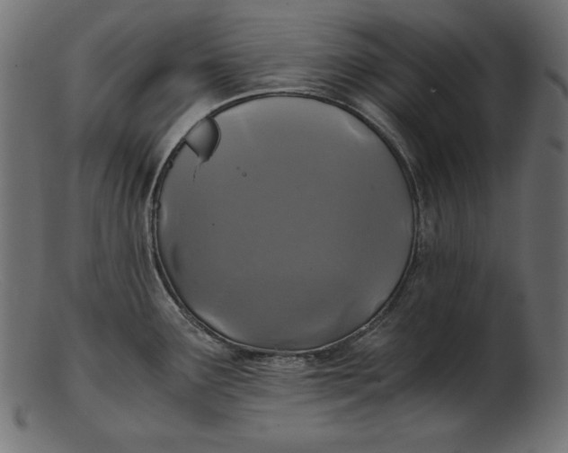 X0000103221291200809111500