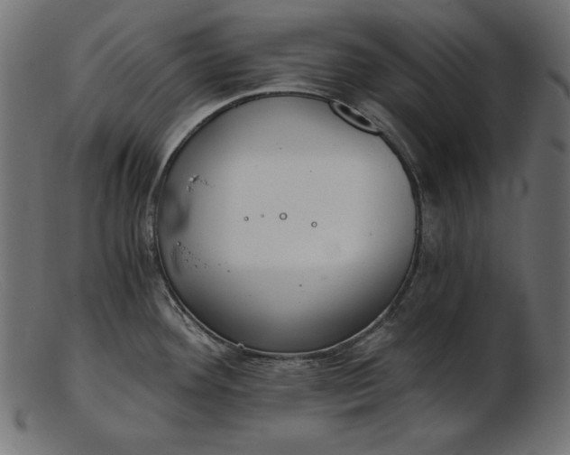 X0000103221292200809111500