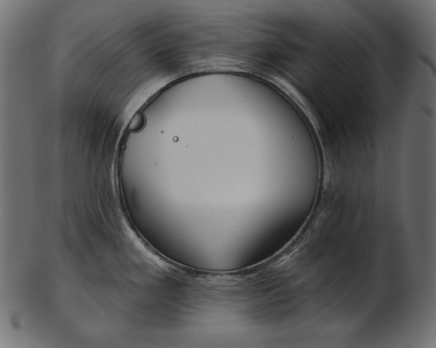 X0000103221293200809111500