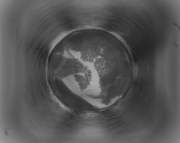 X0000103221294200809111500