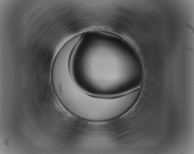 X0000103221296200809111500