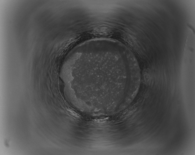 X0000103221297200809111459