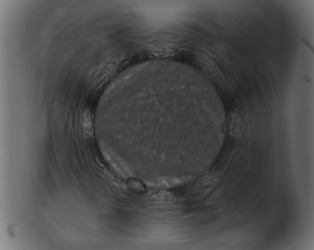 X0000103221298200809111459