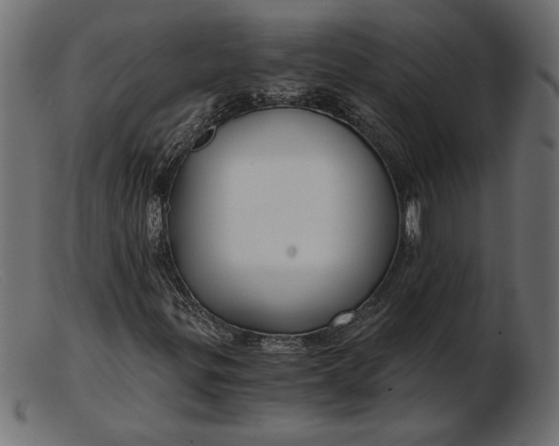 X0000103221299200809111459