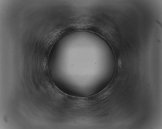 X0000103221300200809111459