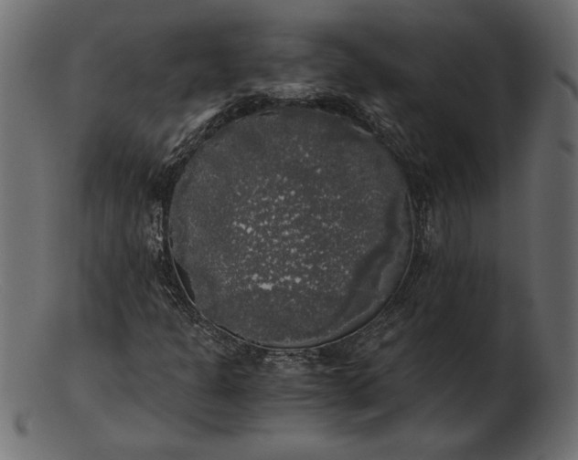 X0000103221301200809111459