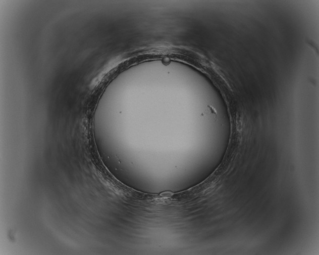 X0000103221304200809111459